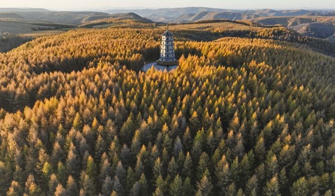 ����(�й���)�ɷ����޹�˾