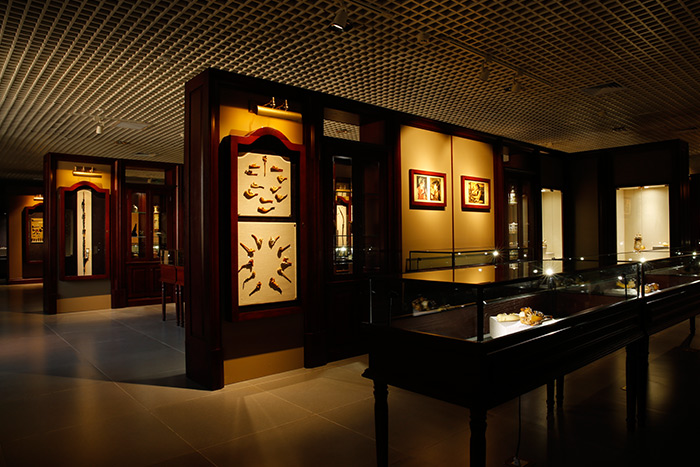 ����(�й���)�ɷ����޹�˾