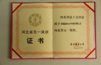 ����(�й���)�ɷ����޹�˾